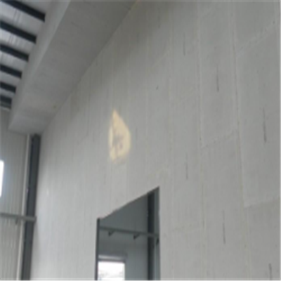 驻马店宁波ALC板|EPS加气板隔墙与混凝土整浇联接的实验研讨